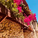 Monte 3* Çıralı