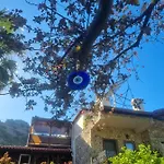 Monte
