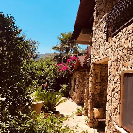 Monte Hotell 3*