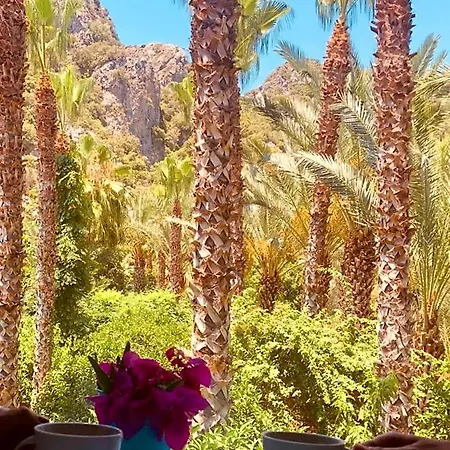 Hotell Monte 3*