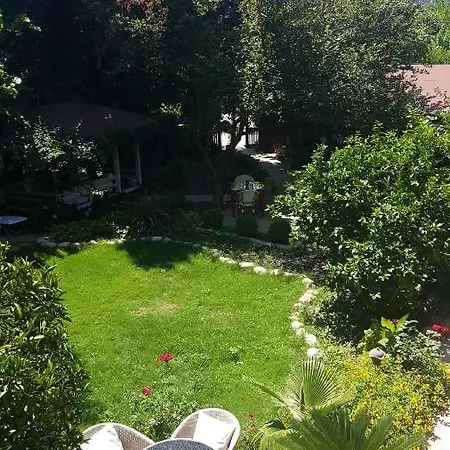Monte 3*