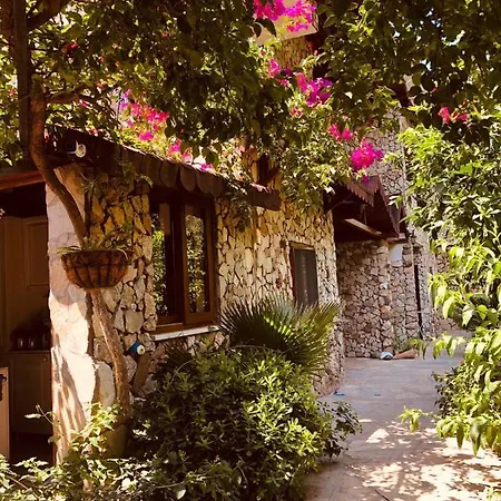 Monte Otel 3*