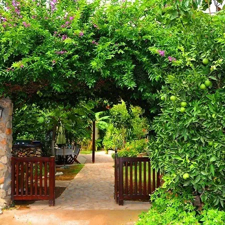 Monte 3* Çıralı