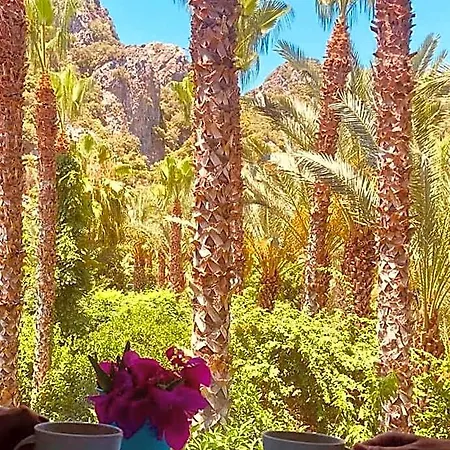 Hotell Monte 3*