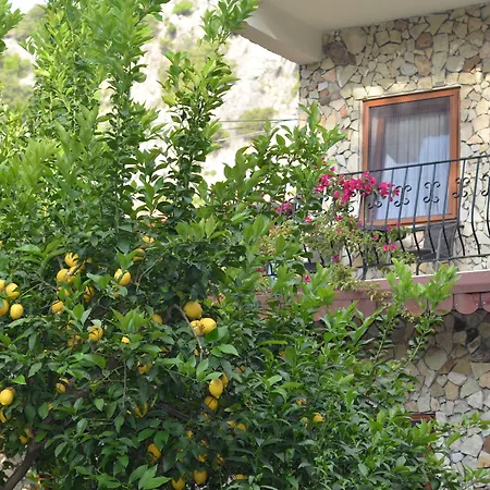 Monte Çıralı