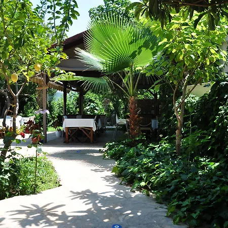 Hotel Monte
